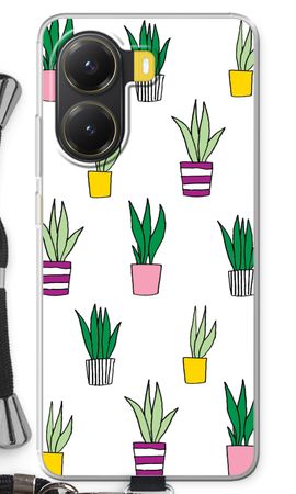 Sanseveria