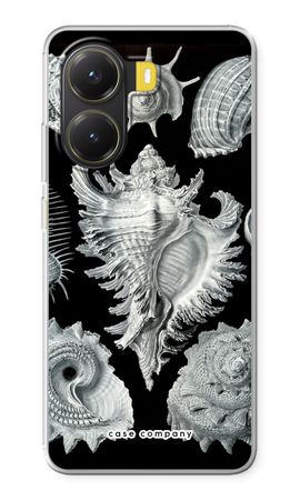 Haeckel Prosobranchia