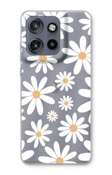 Wieder Gänseblümchen