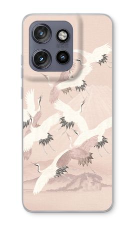 Japanese Crane Birds