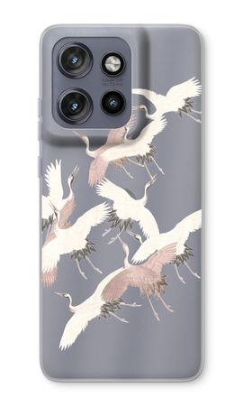 Japanese Crane Birds