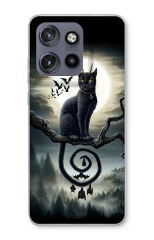 Moonlight Companions