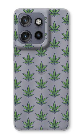 Weed