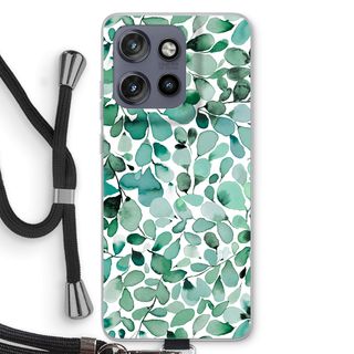 Eucalyptus à feuilles