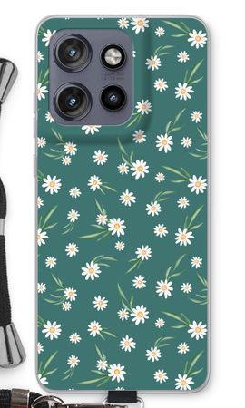 Petites marguerites