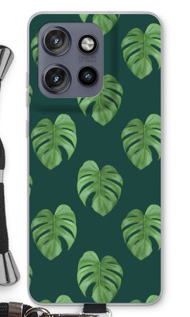 Monstera leaves