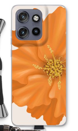 Orange Ellila flower