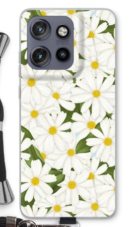 Summer Daisies
