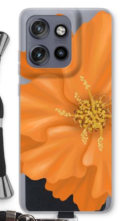 Orange Ellila flower
