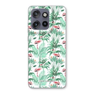 Flamingo bladeren