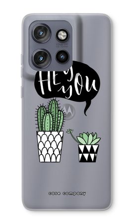 Hey you cactus