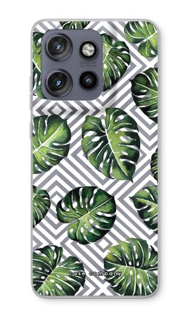 Geometric jungle