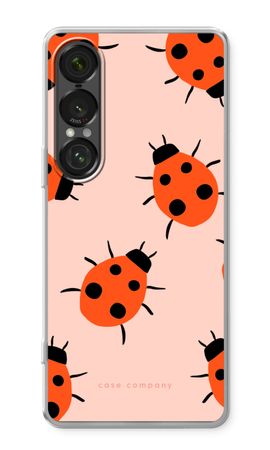 Ladybugs