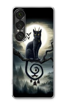 Moonlight Companions