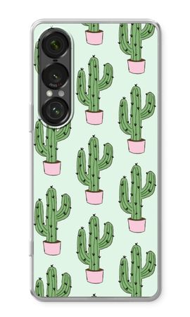 Cactus Lover