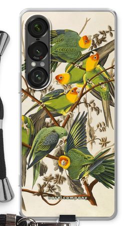 Carolina Parrot