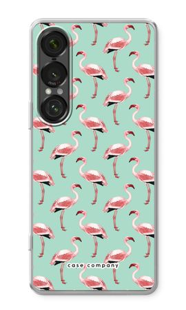 Flamingo