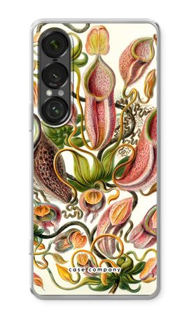 Haeckel Nepenthaceae