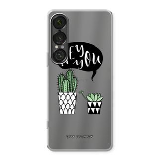 Hey you cactus