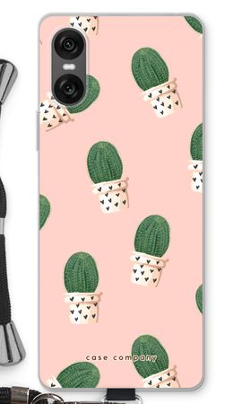 Cactus rosa