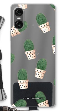 Cactus rosa
