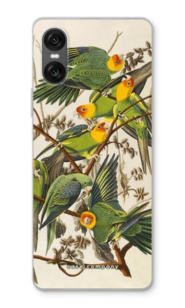 Carolina Parrot