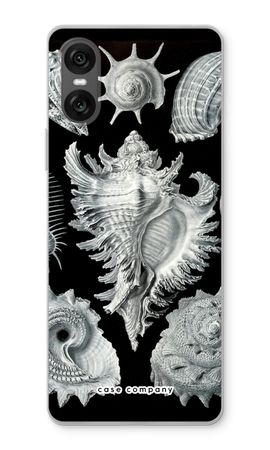 Haeckel Prosobranchia