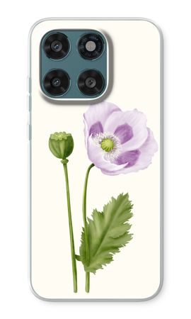 Purple poppy
