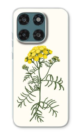 Tansy
