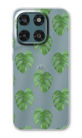 Monstera leaves