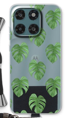 Monstera leaves