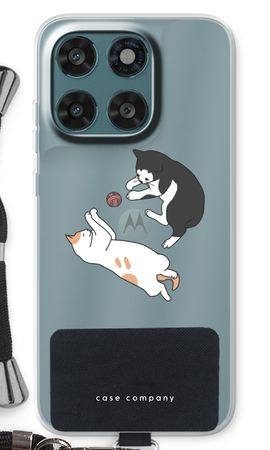 Playing cats