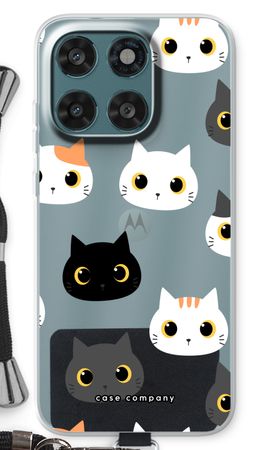 Cats