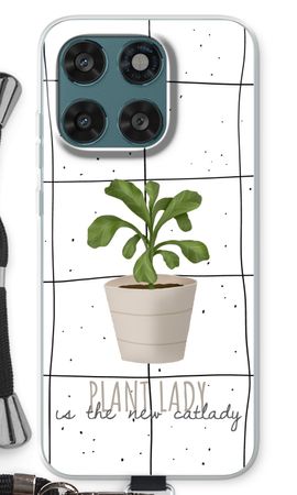 Houseplant on windowpane