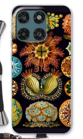 Haeckel Ascidiae