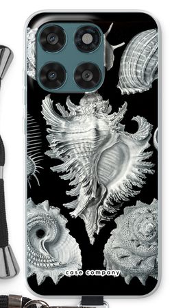 Haeckel Prosobranchia