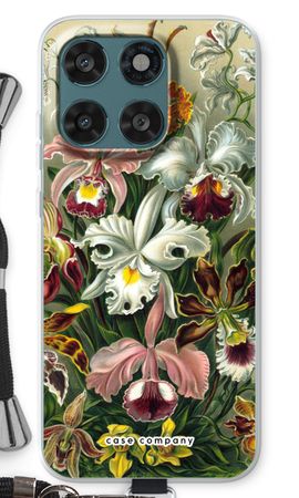 Haeckel Orchidae