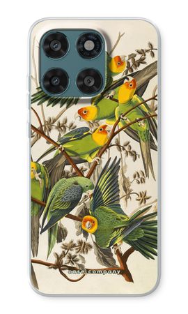Carolina Parrot