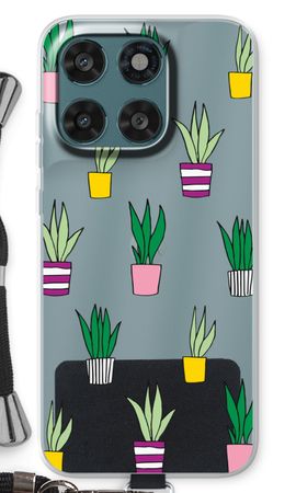 Sanseveria