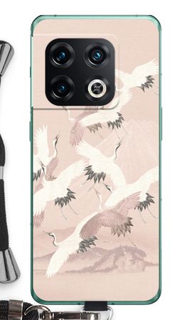 Japanese Crane Birds