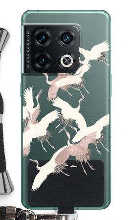 Japanese Crane Birds