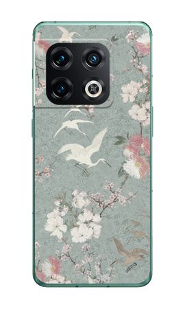 Fleurs de grues japonaises