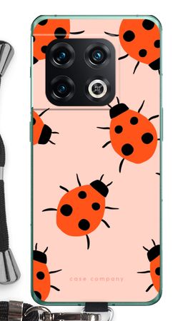 Ladybugs