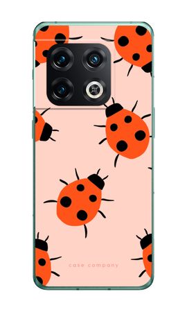 Ladybugs