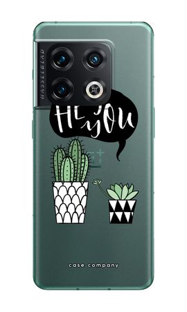Hey you cactus
