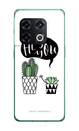 Hey you cactus