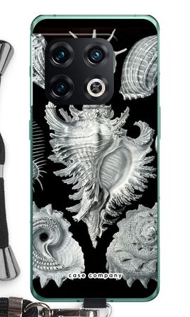 Haeckel Prosobranchia