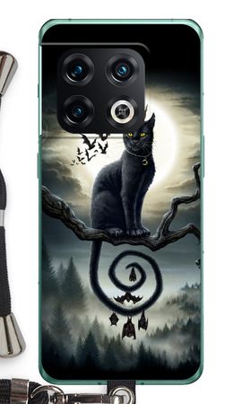 Moonlight Companions