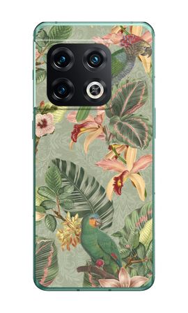 Perroquet de la jungle tropicale