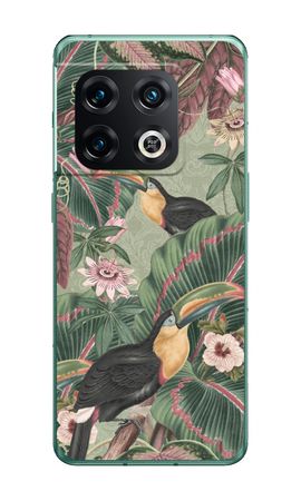 Toucan de la jungle tropicale